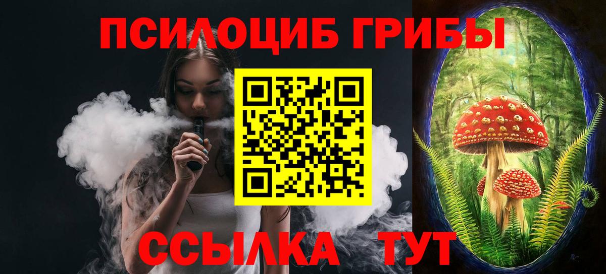 Псилоцибиновые грибы Psilocybine cubensis Медногорск