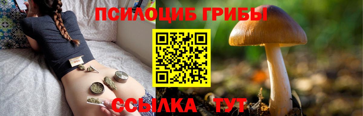 Галлюциногенные грибы Psilocybine cubensis  Вход с VPN  Медногорск 